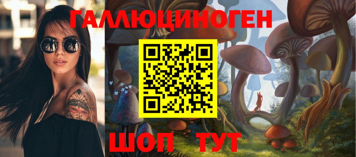 Белгород  Псилоцибиновые грибы Psilocybine cubensis  Вход с VPN 